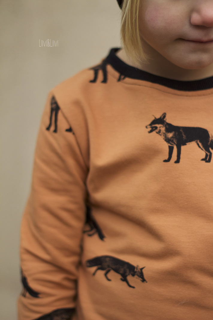 Einfache Fuchs Laterne Aus Einer Pet Flasche