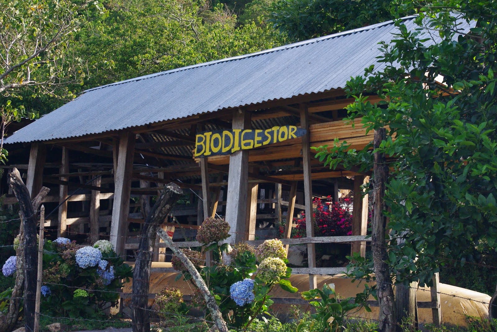 Costa Rica 2011 Life in Palmichal continues