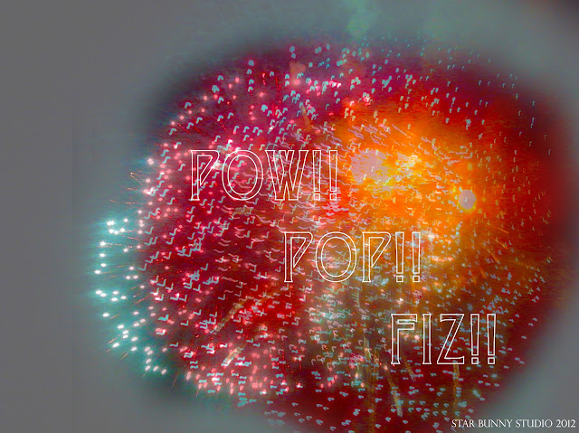 POW!! POP!! FIZ!! DC Fireworks photo by Star Bunny Studio 2012