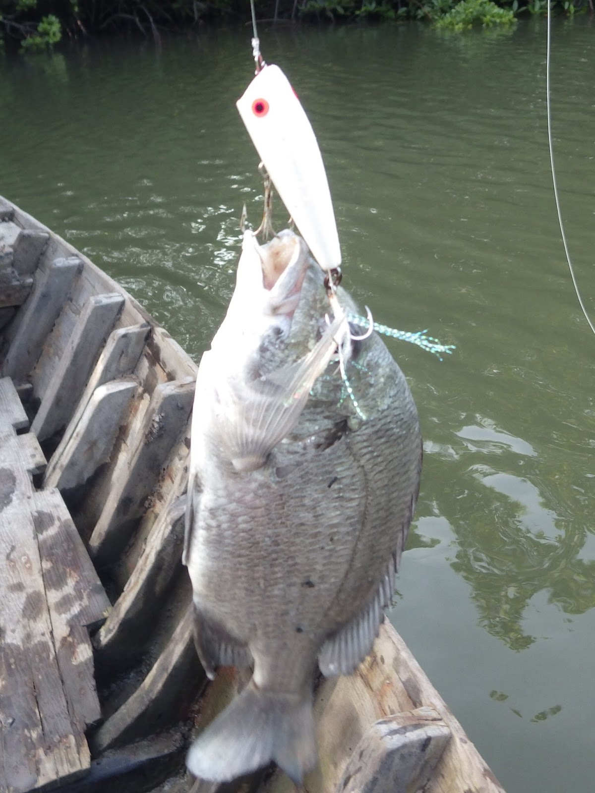 ベトナム チヌのトップゲームを楽しむ 12月17日 ベトナム100倍速