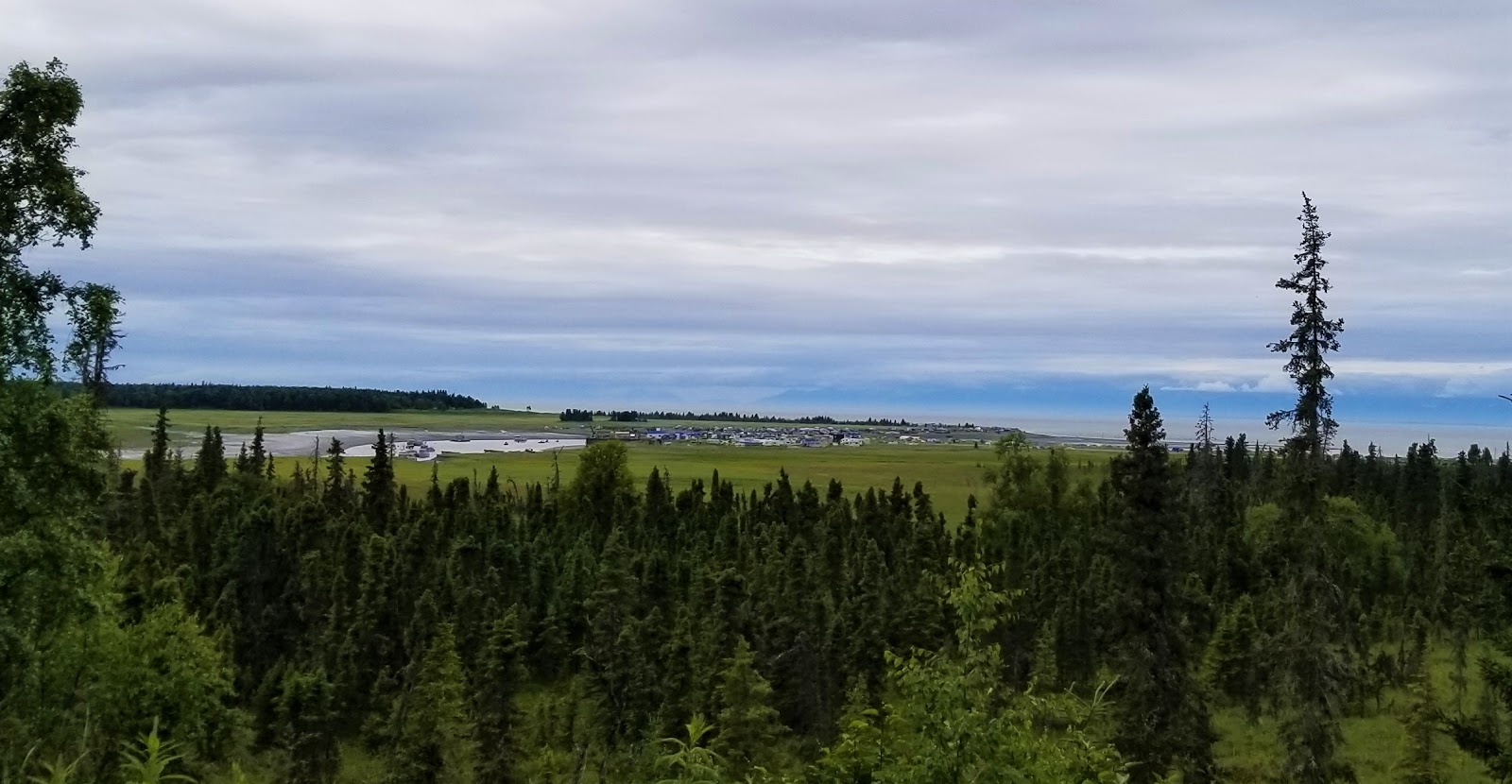 KASILOF RIVER Salmon Fishing and Trips