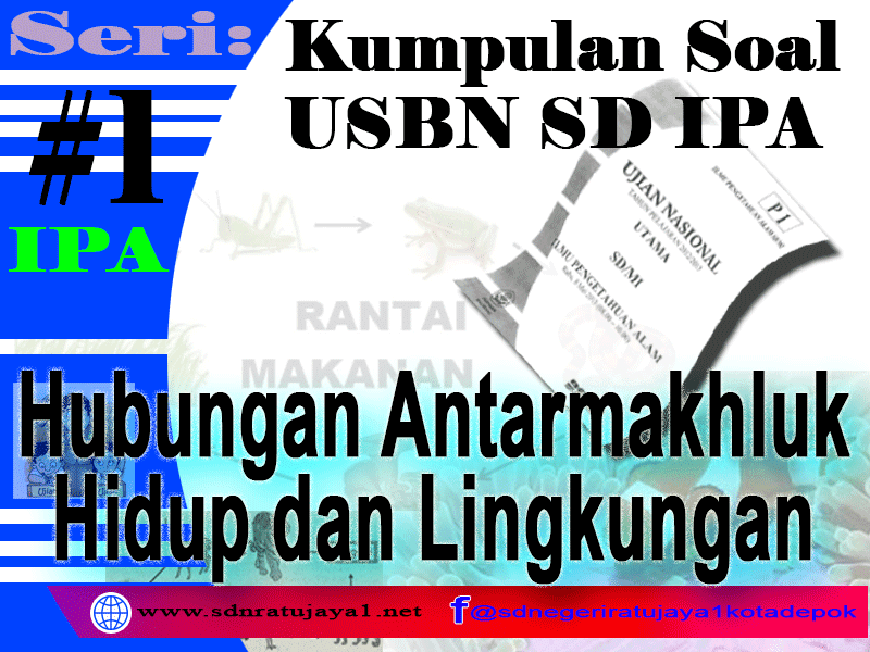 Kumpulan Soal Usbn Sd Ipa 2019 Tentang Hubungan Antarmakhluk Hidup Dan Lingkungan Sdn Ratujaya 1