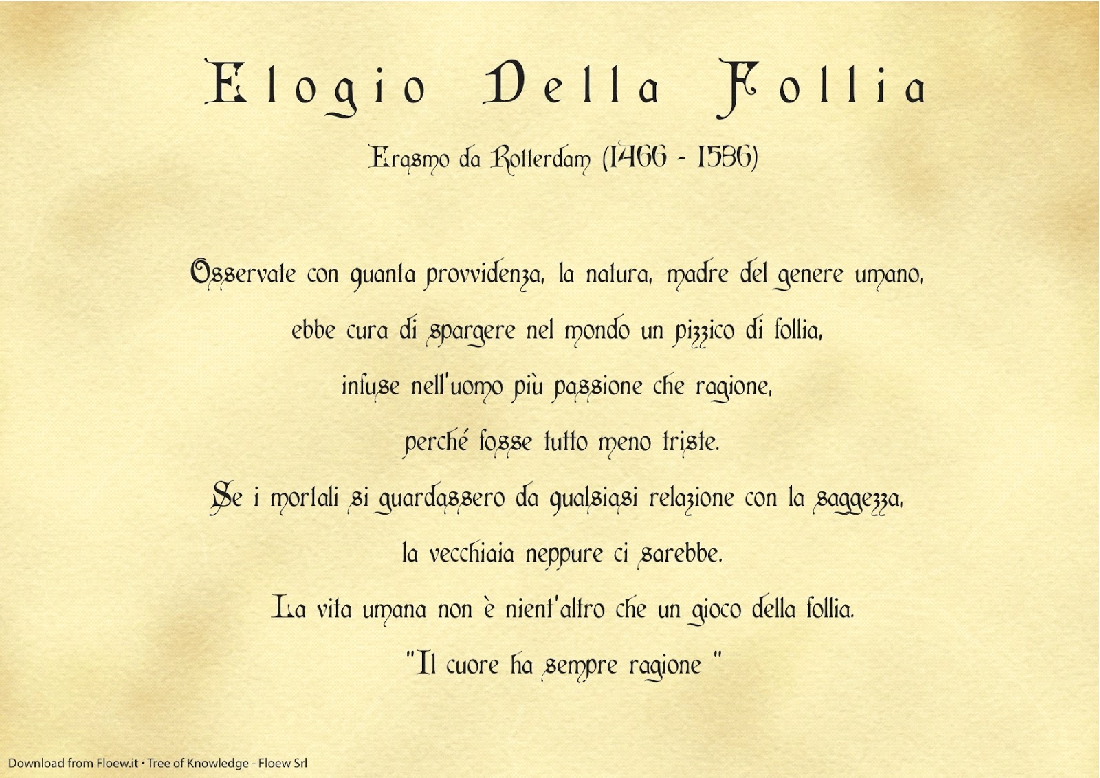 Calciatori Forti Dentro L'elogio della follia!!!