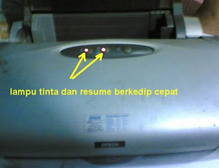 Printer Epson L1300 General Error