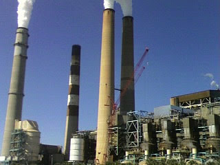 My Retiring Life: “A full-grown manatee, which can weigh more than