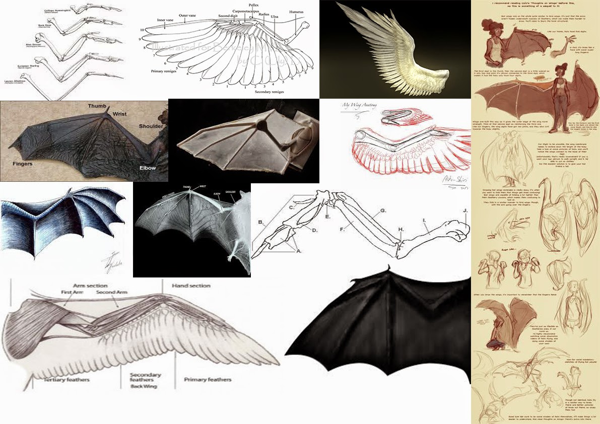 схемы крыльев дракона. крылья летучей мыши референс. схемы крыльев дракона. крылья дракона туториал. крылья дракона выкройка.