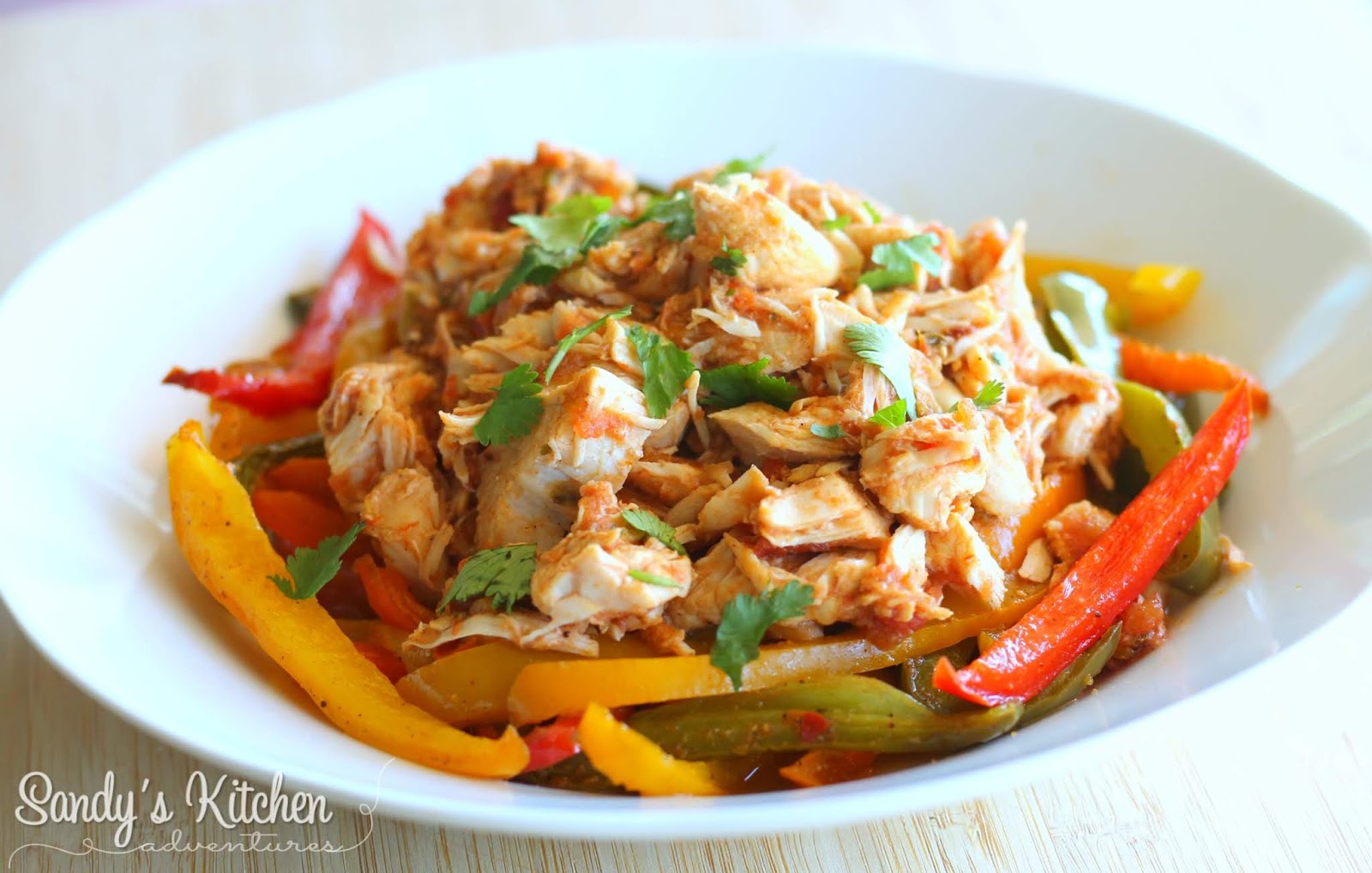 Crock pot Salsa Chicken Sandy's Kitchen