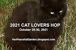Cat Lovers Blog Hop 2021