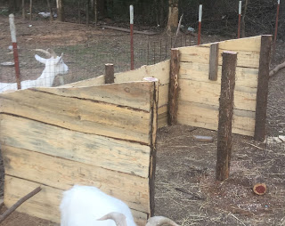 easy and cost effective way to build a goat shed, goat shelter idea, how to build a goat shelter, ideas for building inexpensive goat shelters, inspiring goat shed, learn how to build a goat shelter