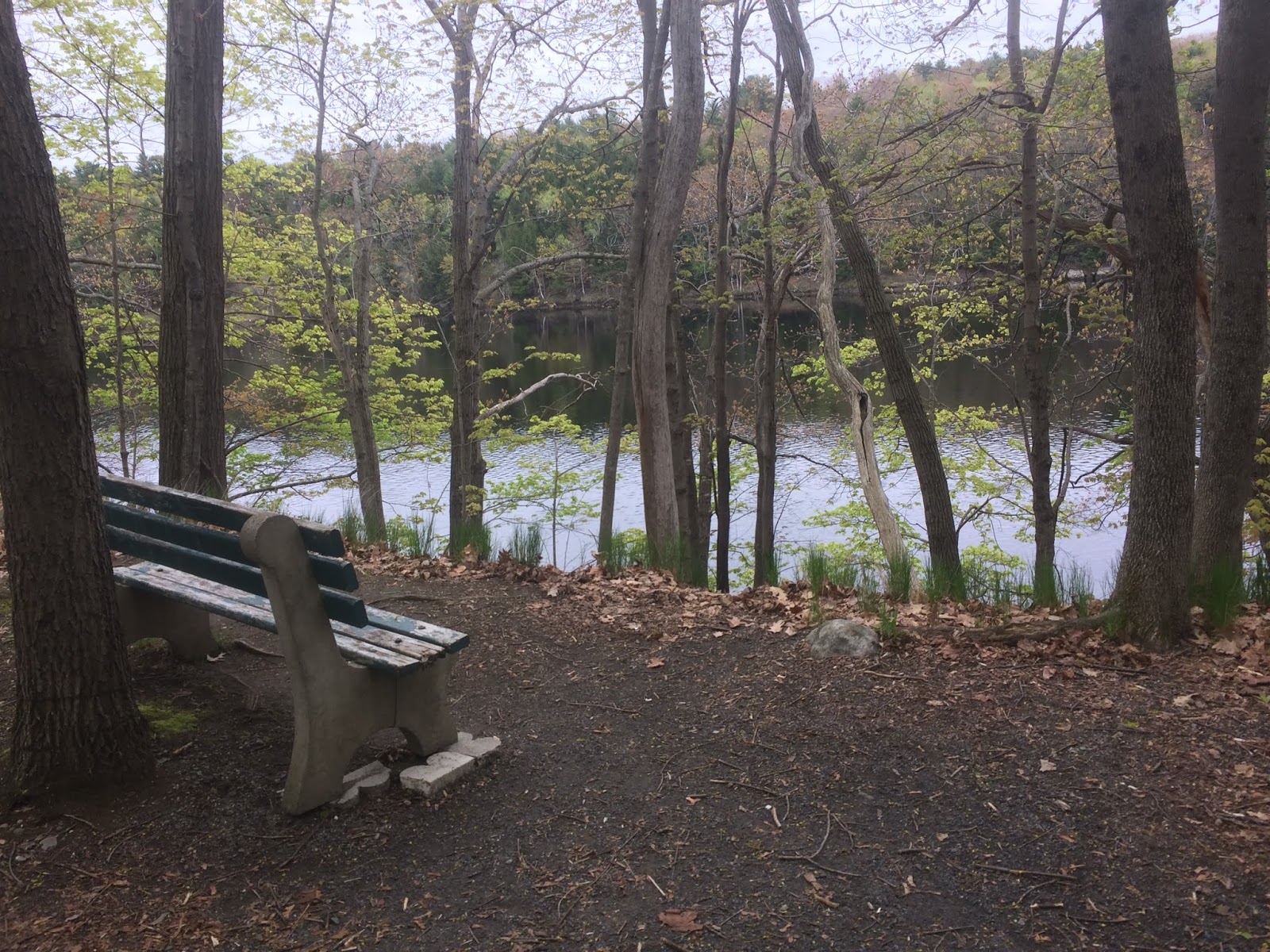 to Kennebec River Rail Trail
