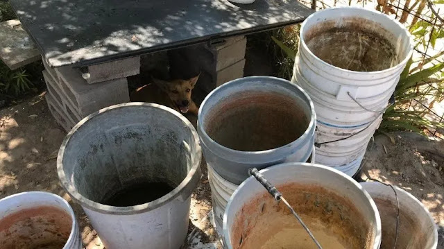 Pipas no alcanzan para surtir de agua potable a zonas sin agua en Navojoa 