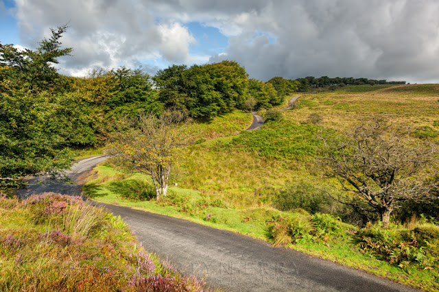 Exmoor landscape and country lane in the afternoon sunshine