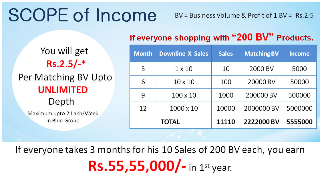 We safe india business plan pdf picture