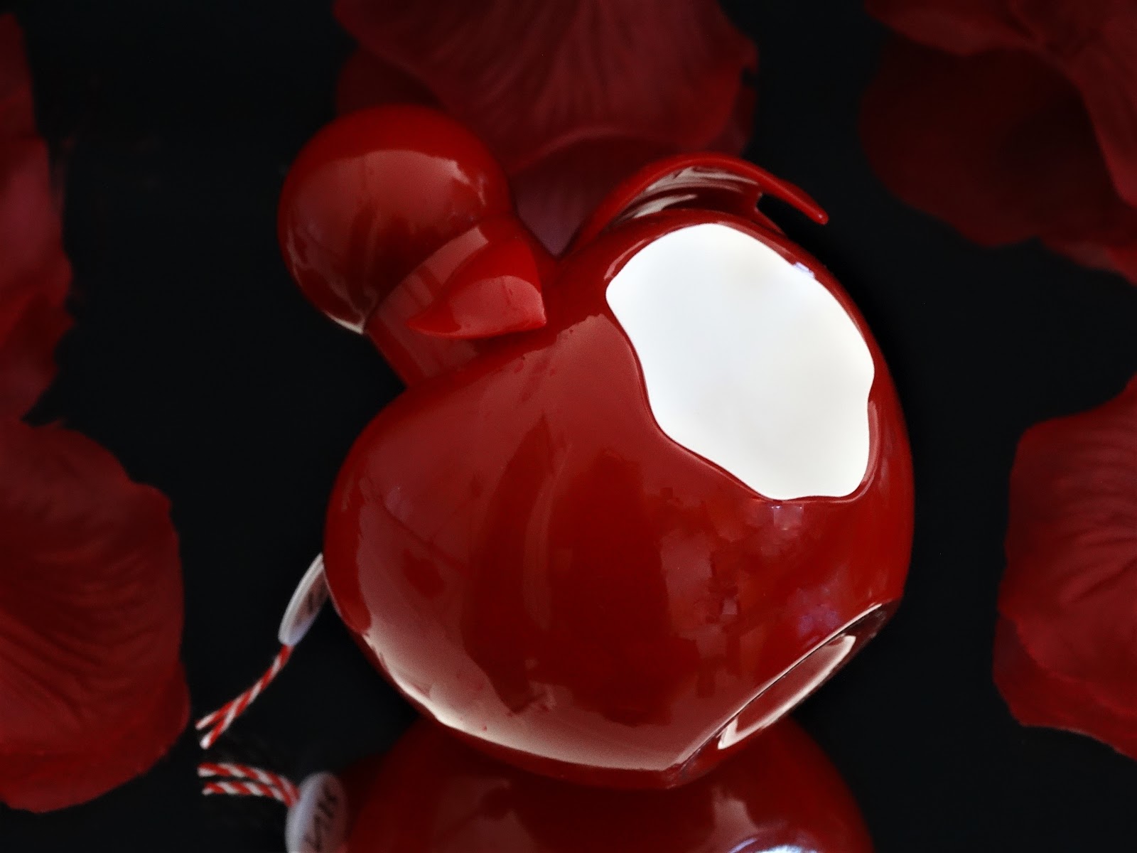 Fond D Ecran Fleur Rose Rouge