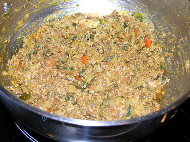 ShaRach cooking Spicy minced Meat (Keema)