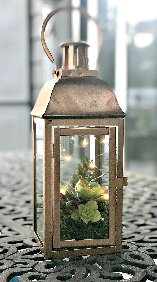 Fairy Light Succulent Copper Lantern Planter 