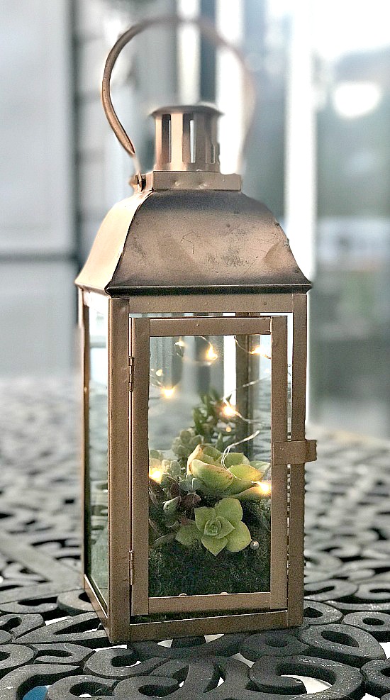 Fairy Light Succulent Lantern Planter