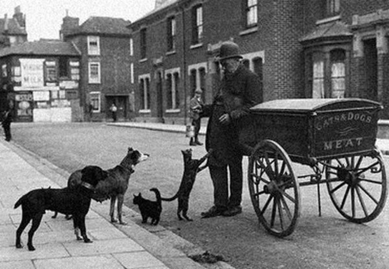 Amazing Vintage Photographs of Cat's Meat Sellers in London in the