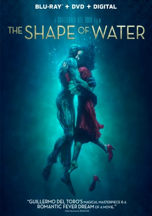 The Shape of Water 2017 BRRip 480p Dual Audio 300Mb