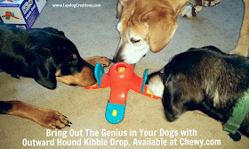 Bring Out the Genius In Your Dogs with #OutwardHound #KibbleDrop, Available at #Chewy.com - #LapdogCreations #doggames #dogplaytime