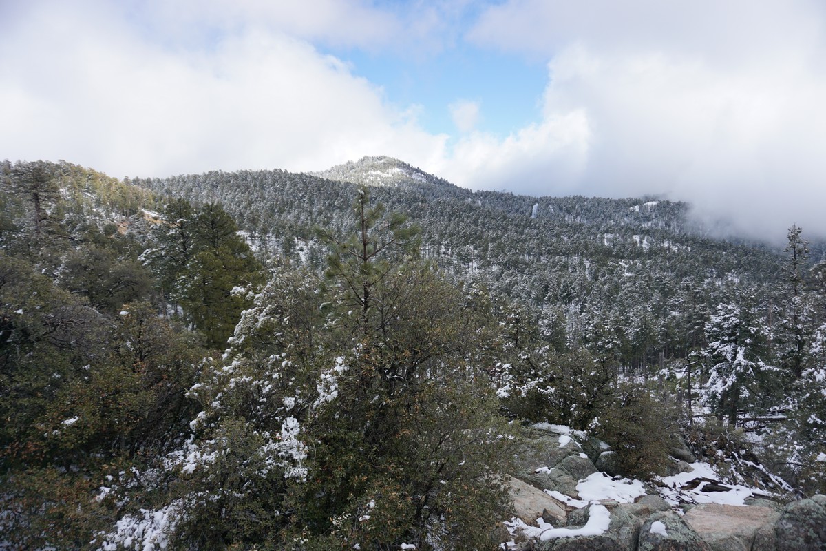 Harriman Hiker Harriman State Park and Beyond Box Springs Trailhead