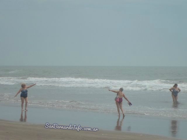 pronostico san bernardo