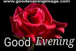 evening lovers rose flowers wishes