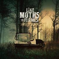 [2010] - Sweet Talker [EP]