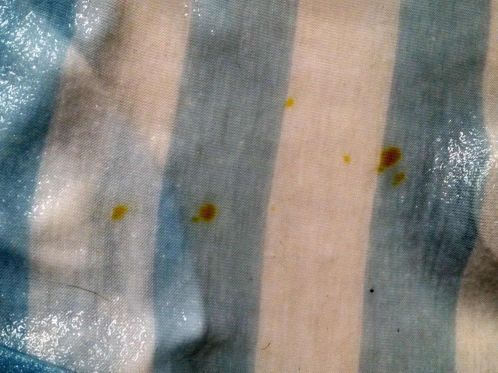 Must Run in the Family How to Get Food Coloring Out of Clothing