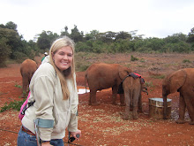 Kenya, 2008