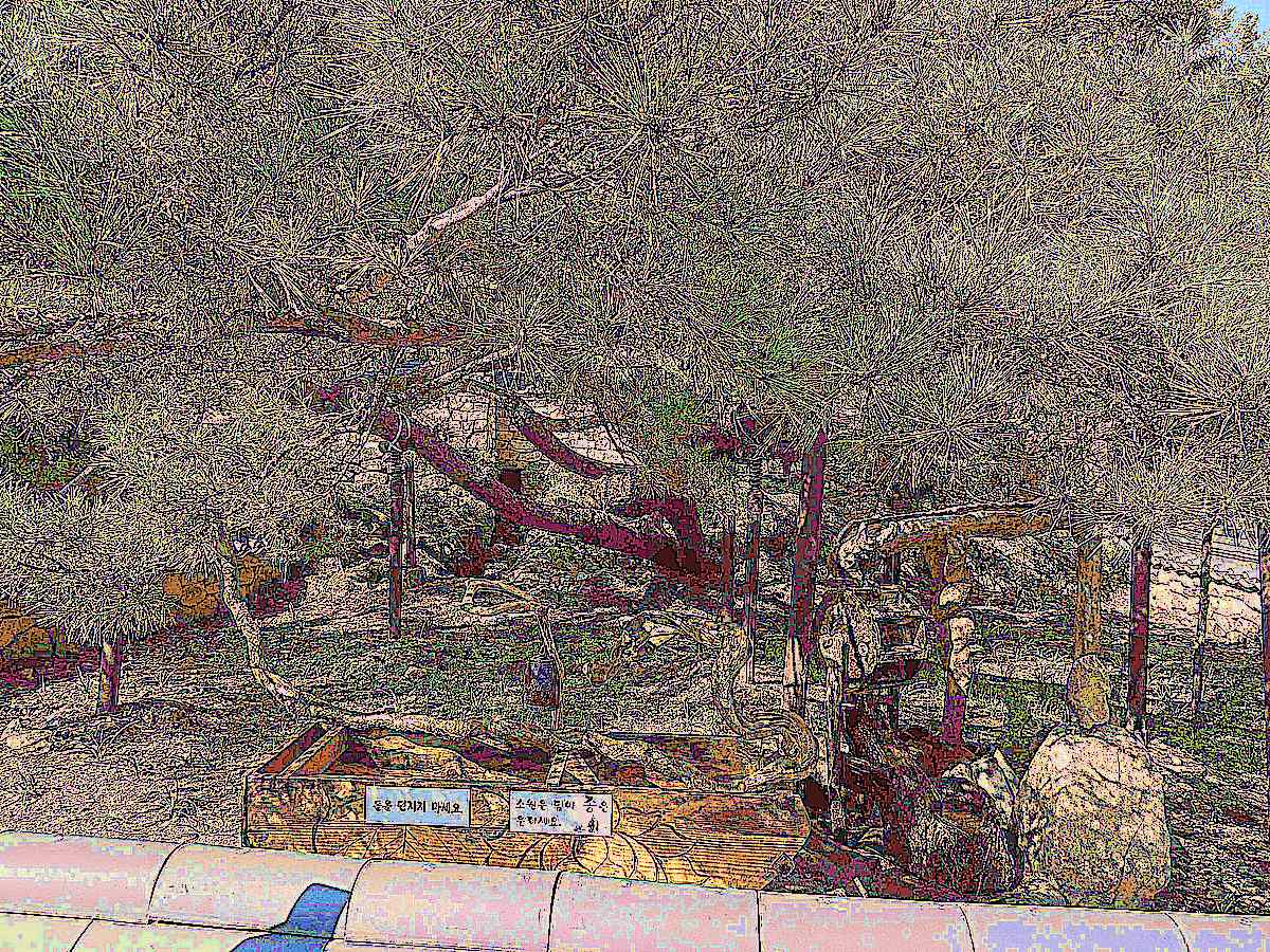 순천 조계산 선암사 순천 조계산 선암사