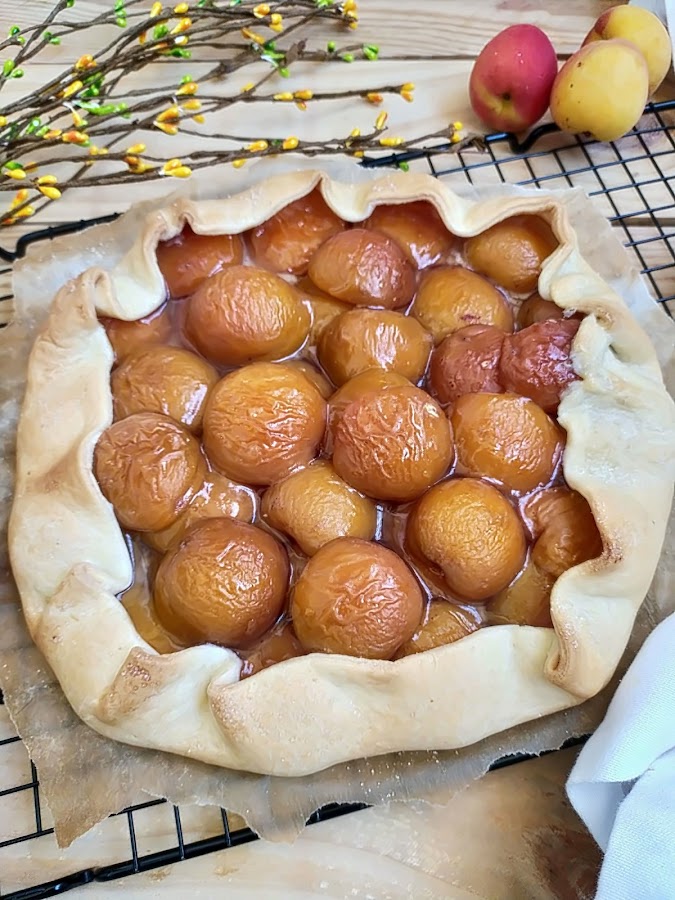 Galette de albaricoques. Postre de temporoda, fruta, rápido fácil, rico sencillo Horno Canela, avena Cuca