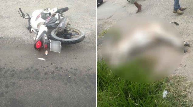 Jacobina: Mototaxista sofre ferimentos em acidente com animal na BR-324