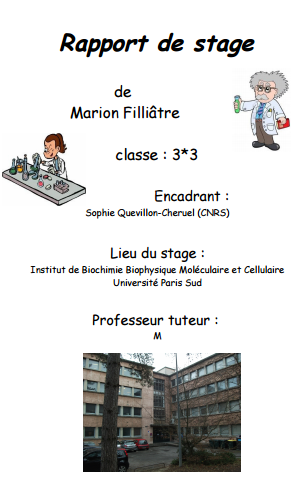rapport de stage d'observation