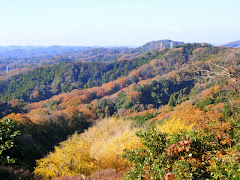 大平山