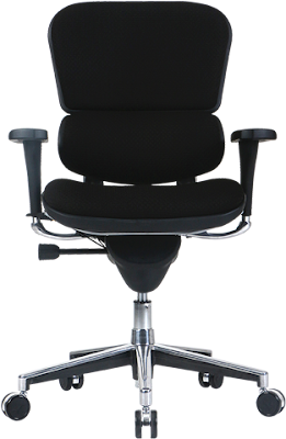 ergohuman chair