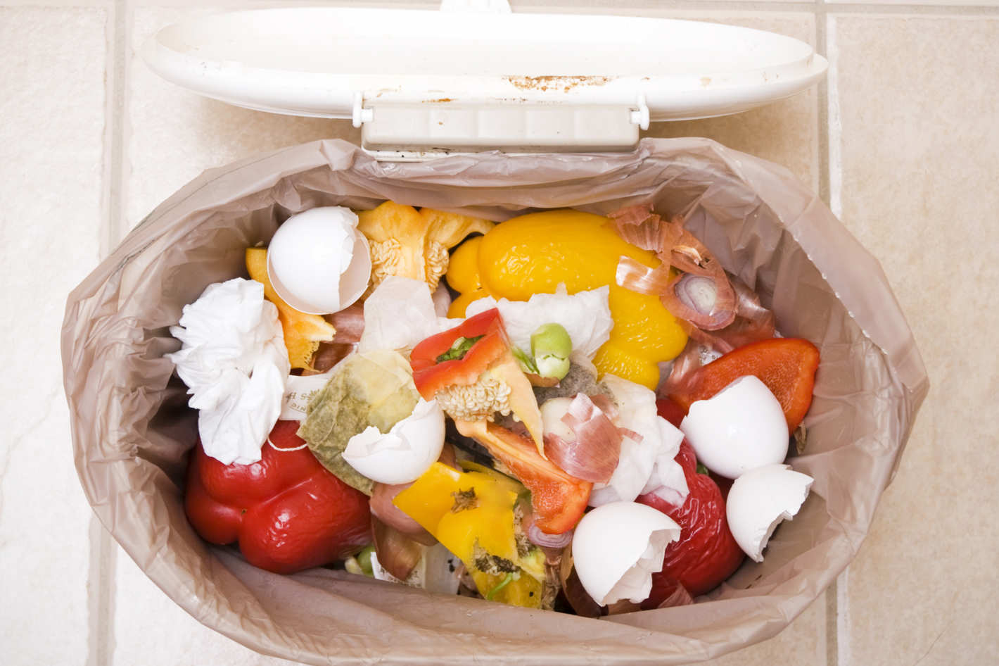 How garbage food became normal Life Style Folk