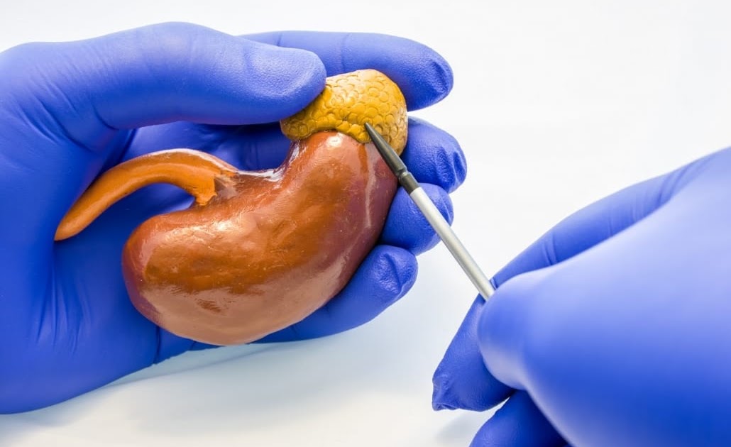 Kidney Transplant Surgery Procedure, Risks and Top Urologist in India