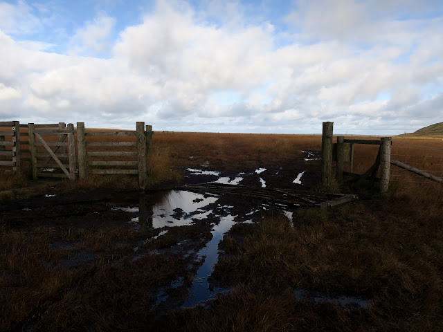 Muddy area round broken wooden gate. Warley Moor.  22nd October 2021