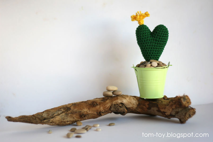 Heart cactus