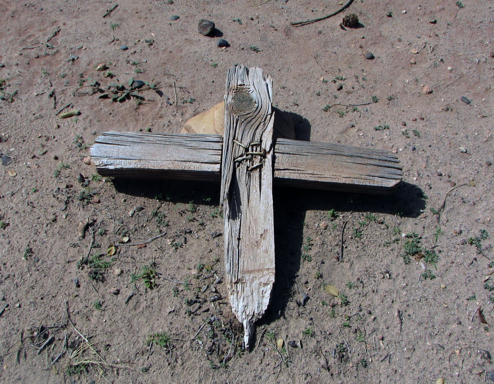 Photography Holbrook Cemetery