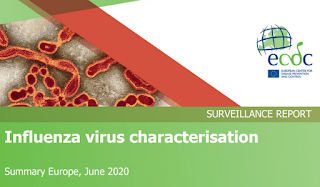 avian-flu-diary-ecdc-influenza-virus-characterisation-summary