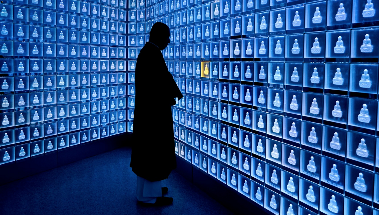 Junta Administrativa de Cementerios de Goicoechea, construirá primer