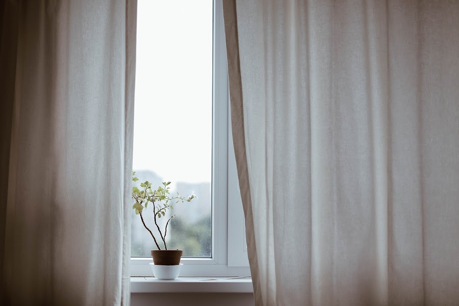 Cómo cuidar las plantas de interior