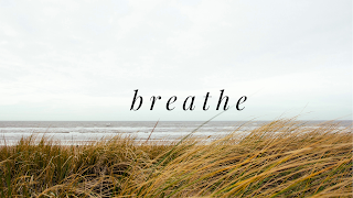 What actually is stress? To stop re-triggering our stress response, we need to breathe