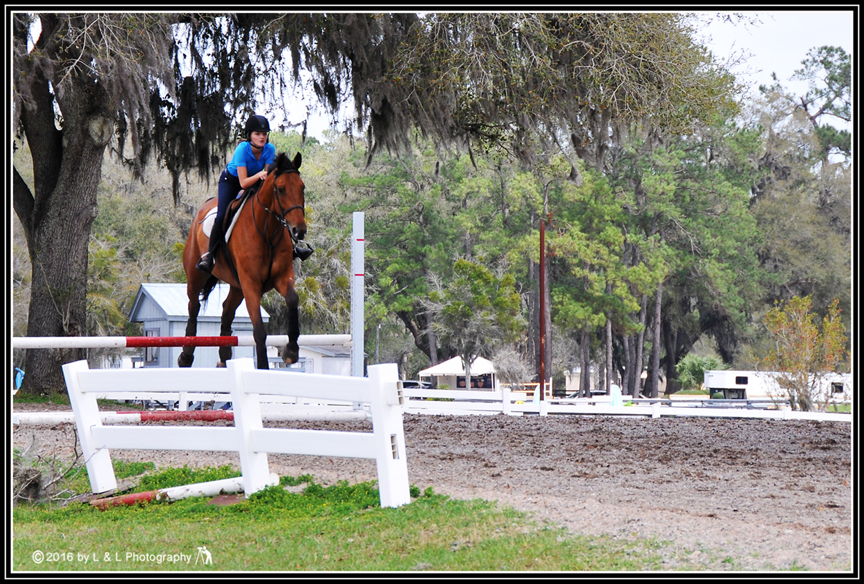 Ocala, Central Florida & Beyond HITS (Horses in the Sun) Ocala