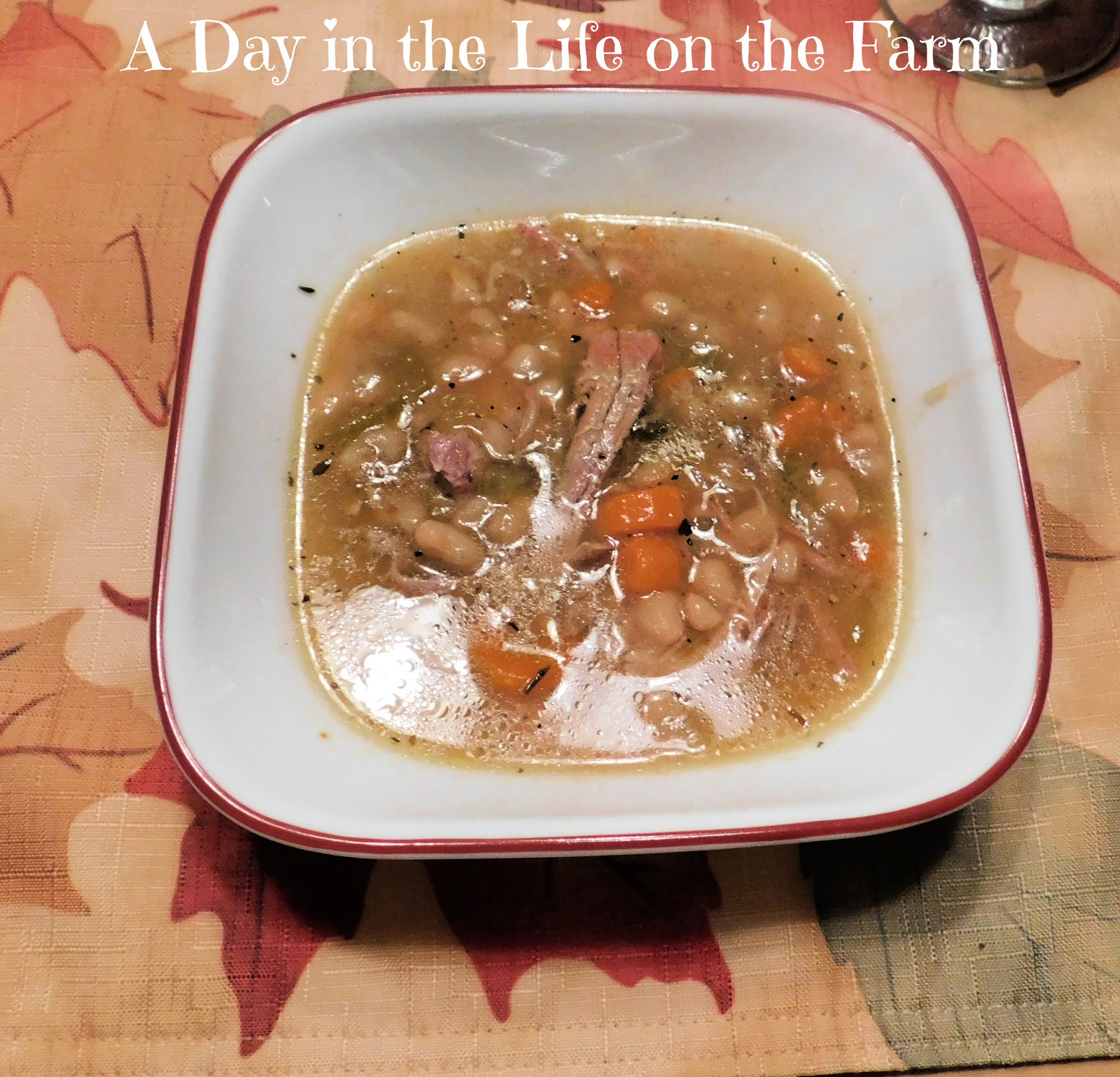 A Day in the Life on the Farm Instant Pot Smoked Turkey and Navy Bean