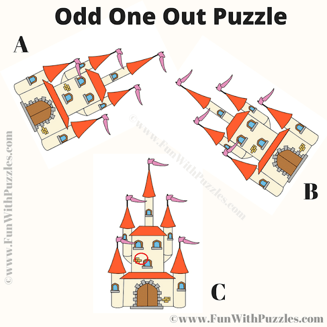 Test Your Visual IQ: Odd One Out Picture Riddle Answer