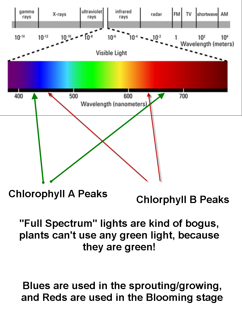 G2 Grow lights for plants indoors