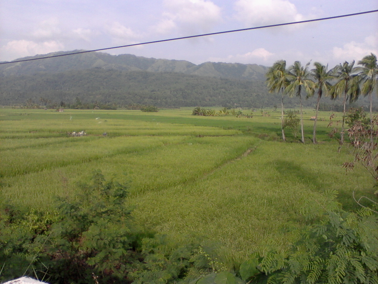 My Life's Adventures Tibiao, Antique